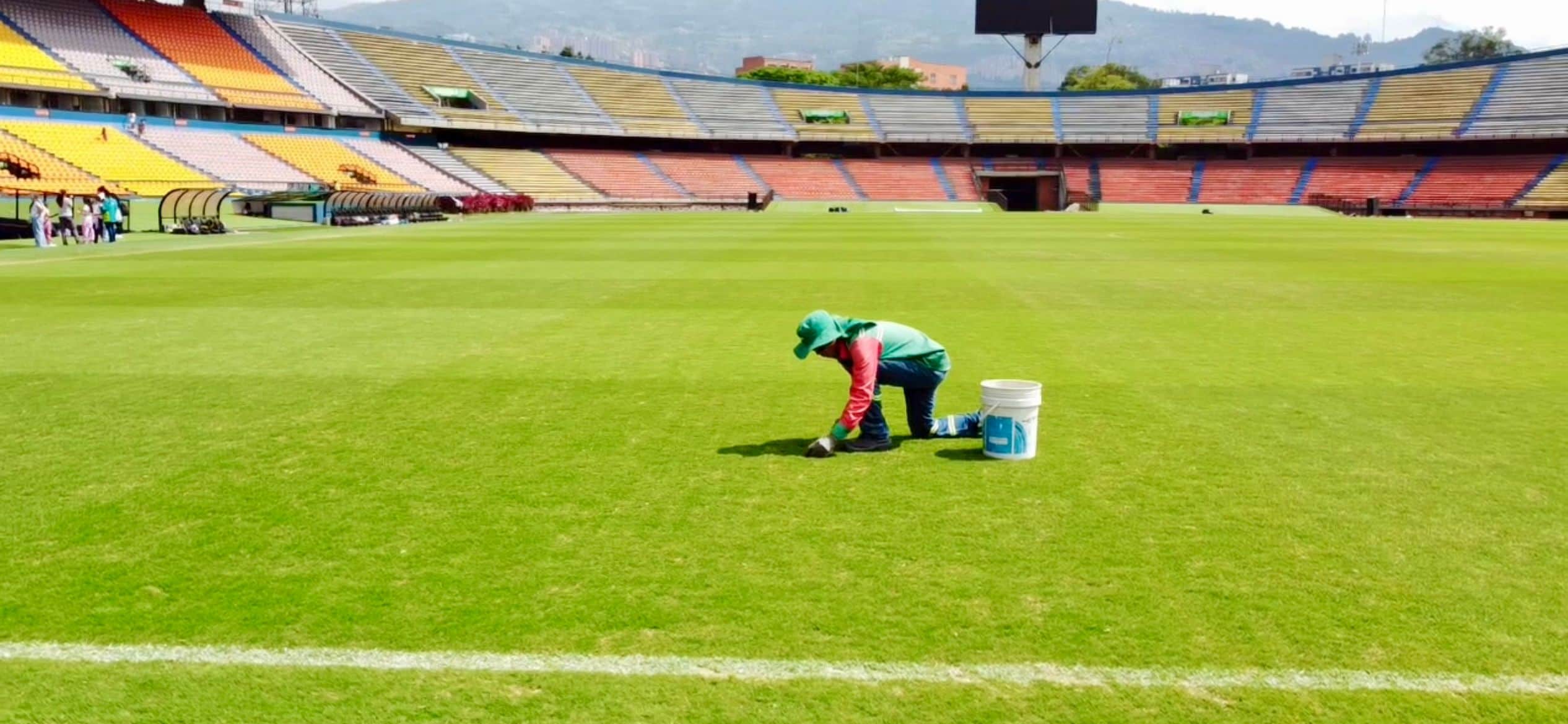 Fotografía de la grama del estadio Atanasio Girardot