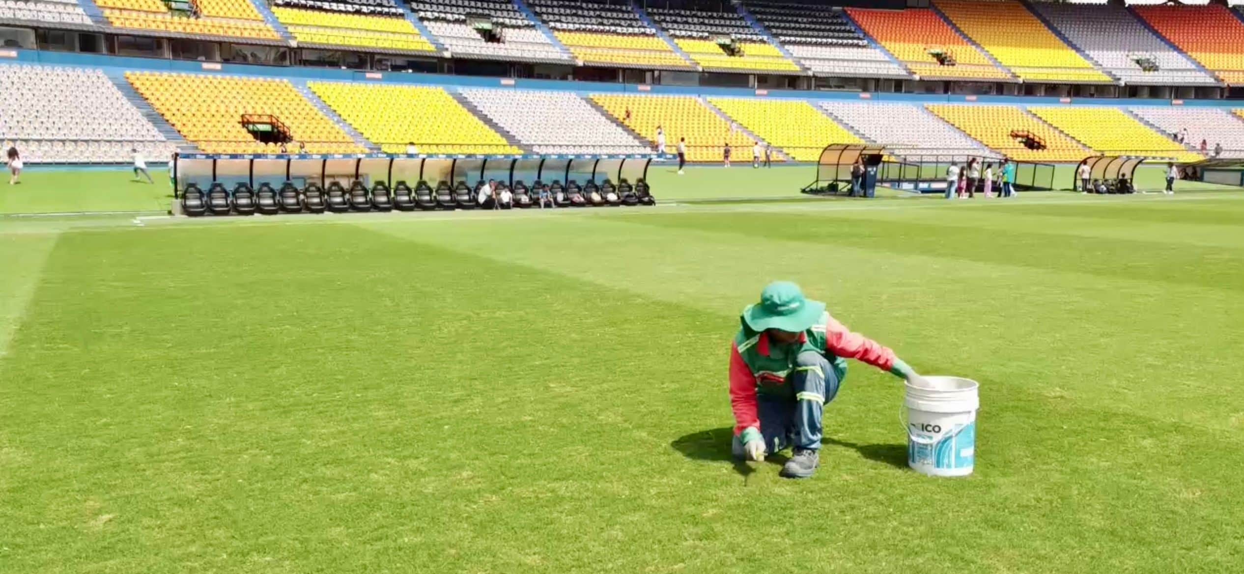 Fotografía de la grama del estadio Atanasio Girardot